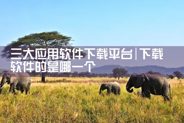 三大应用软件下载平台