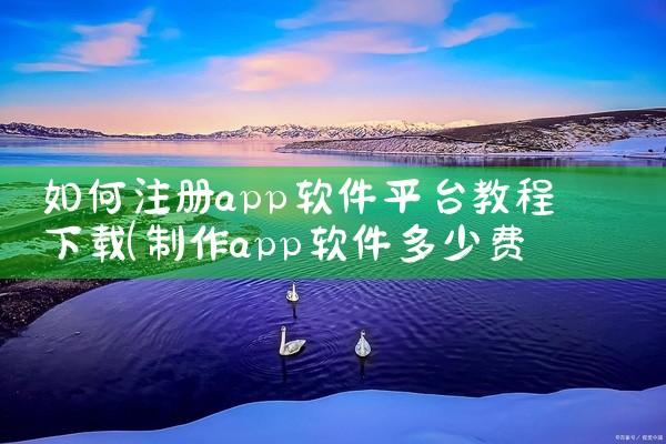 如何注册app软件平台教程下载