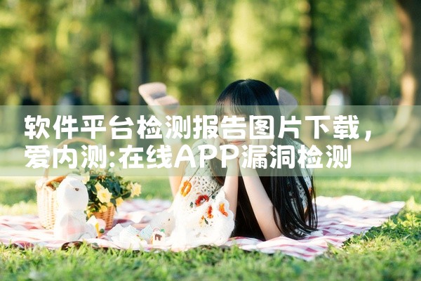 软件平台检测报告图片下载