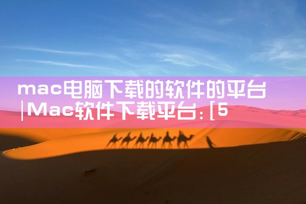 mac电脑下载的软件的平台