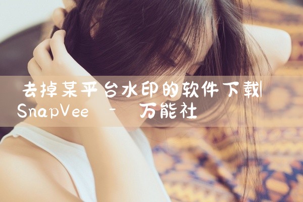 去掉某平台水印的软件下载