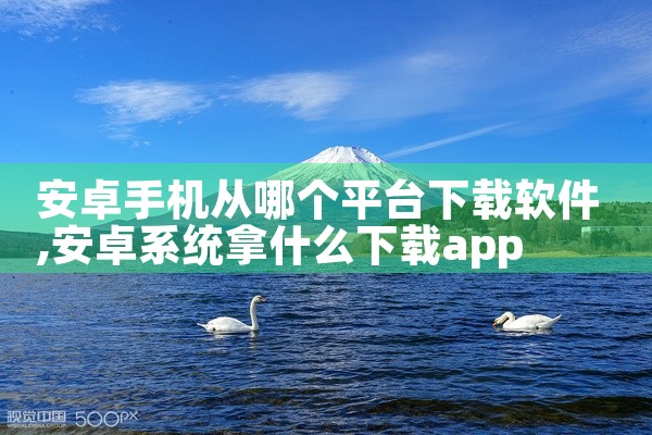 安卓手机从哪个平台下载软件