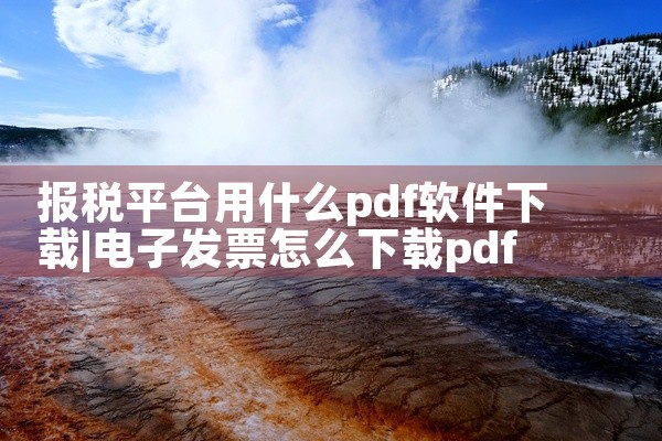 报税平台用什么pdf软件下载