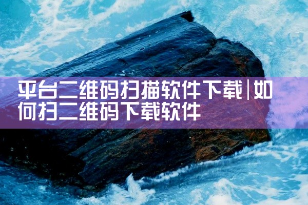 平台二维码扫描软件下载